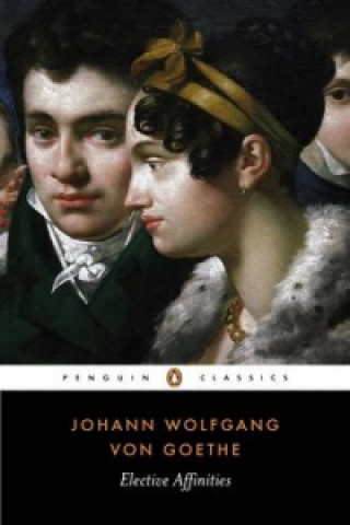 Kniha Elective Affinities Johann Wolfgang Goethe