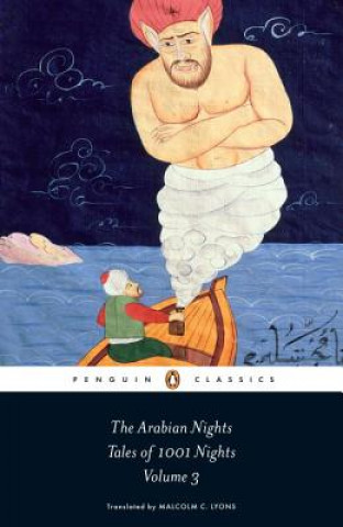 Könyv Arabian Nights: Tales of 1,001 Nights Malcolm Lyons