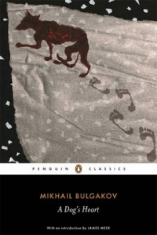 Könyv Dog's Heart Bulgakov Michail Afanasjevič