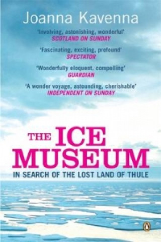 Kniha Ice Museum Joanna Kavenna