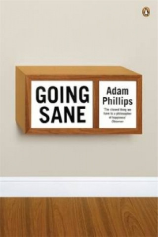 Könyv Going Sane Adam Phillips