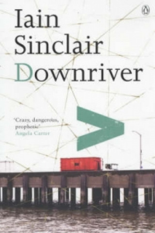 Knjiga Downriver Iain Sinclair