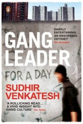 Книга Gang Leader for a Day Sudhir Venkatesh