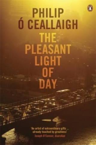 Knjiga Pleasant Light of Day Philip Ó Ceallaigh