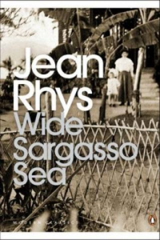 Kniha Wide Sargasso Sea Jean Rhys