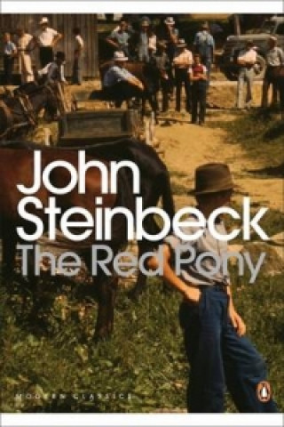 Książka Red Pony John Steinbeck