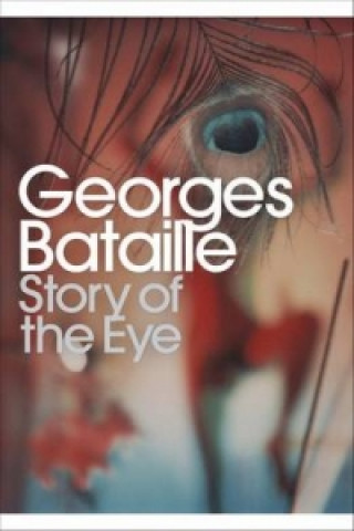 Kniha Story of the Eye Georges Bataille