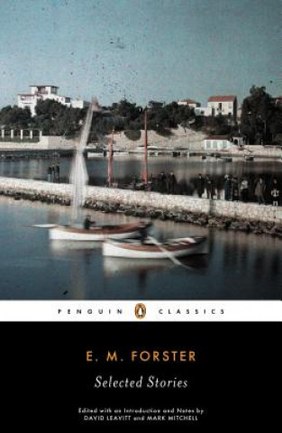 Könyv Selected Stories E. M. Forster