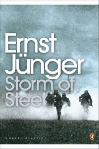 Book Storm of Steel Ernst Jünger