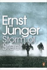 Könyv Storm of Steel Ernst Jünger