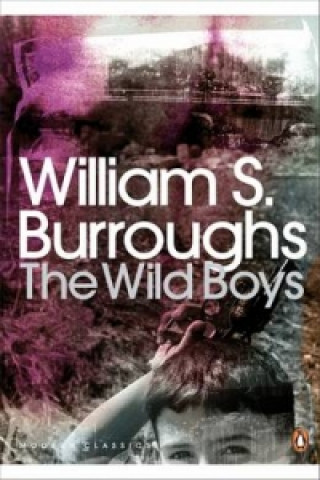 Book Wild Boys William Burroughs