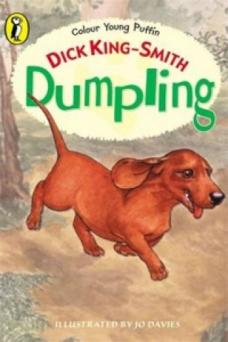 Könyv Dumpling Dick King-Smith