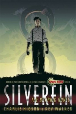 Kniha SilverFin: The Graphic Novel Charlie Higson