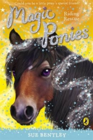 Könyv Magic Ponies: Riding Rescue Sue Bentley