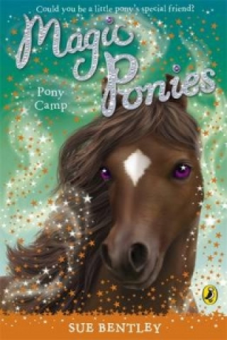 Kniha Magic Ponies: Pony Camp Sue Bentley