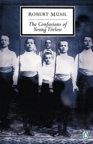 Book Confusions of Young Torless John Maxwell Coetzee
