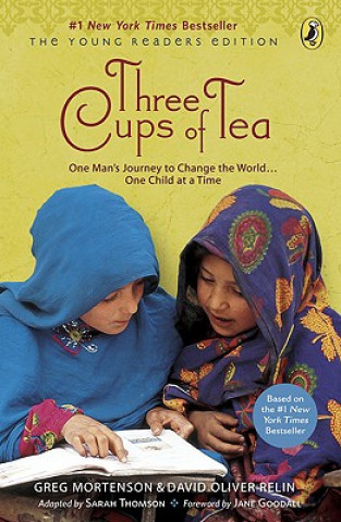 Kniha Three Cups of Tea Greg Mortenson