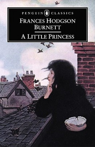 Könyv Little Princess Frances Hodgson Burnett