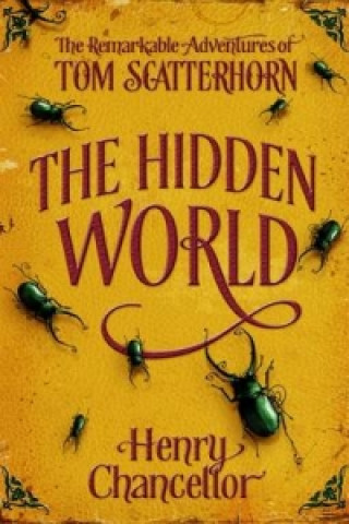 Könyv Hidden World: The Remarkable Adventures of Tom Scatterhorn Henry Chancellor