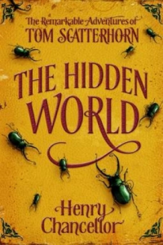 Livre Hidden World: The Remarkable Adventures of Tom Scatterhorn Henry Chancellor