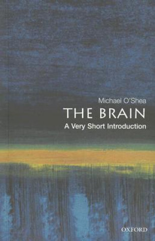 Książka Brain: A Very Short Introduction Michael O'Shea