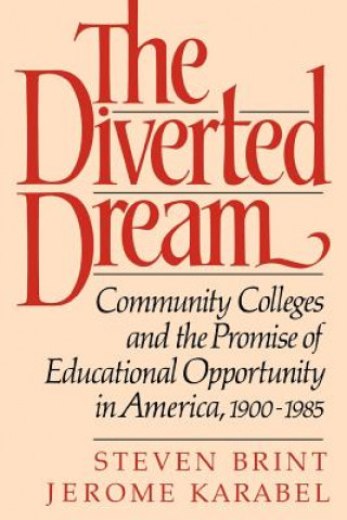Kniha Diverted Dream Steven Brint