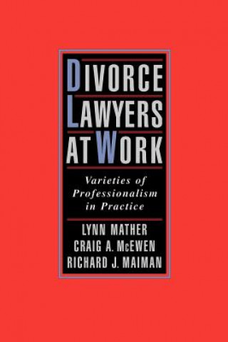 Kniha Divorce Lawyers at Work Lynn M. Mather