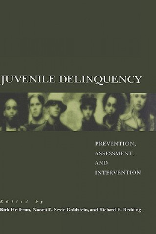Knjiga Juvenile Delinquency Naomi E Sevin Goldstein