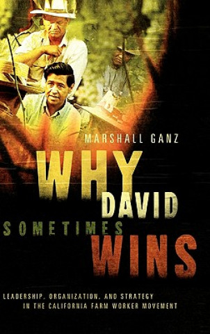 Kniha Why David Sometimes Wins Marshall Ganz