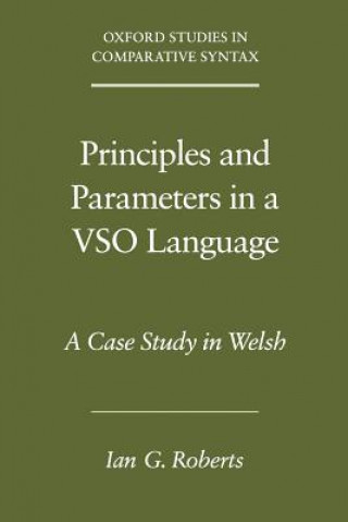 Könyv Principles and Parameters in a VSO Language Ian G.