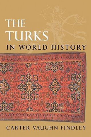Książka Turks in World History Carter V Findley