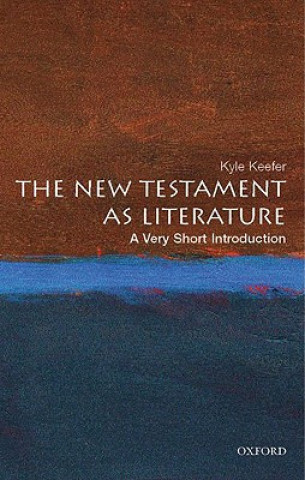 Kniha New Testament As Literature: A Very Short Introduction 