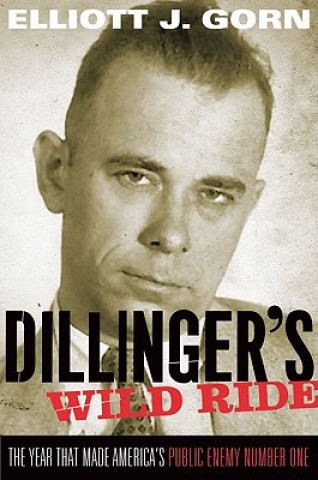 Buch Dillinger's Wild Ride Elliott Gorn