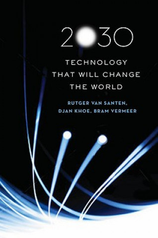 Knjiga 2030 Bram Van Santen
