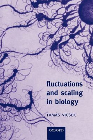 Könyv Fluctuations and Scaling in Biology Thomas Vicsek