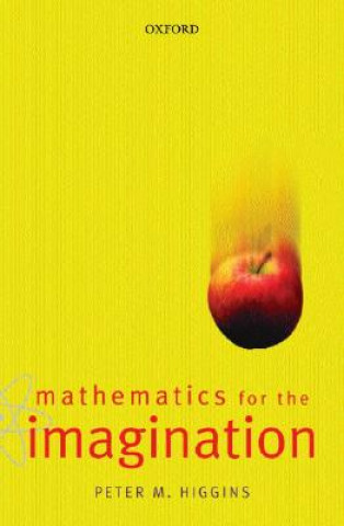 Libro Mathematics for the Imagination Peter Higgins