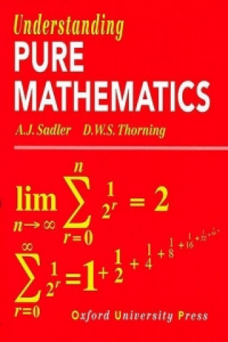 Kniha Understanding Pure Mathematics A J Sadler
