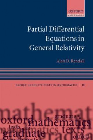 Kniha Partial Differential Equations in General Relativity Alan Rendall