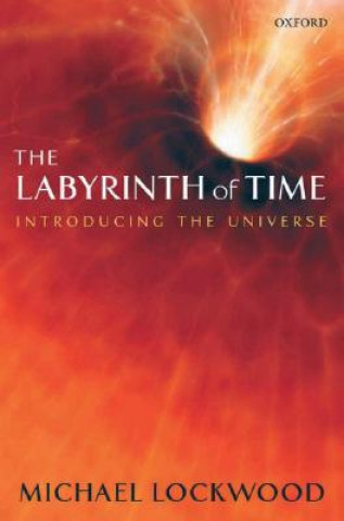 Livre Labyrinth of Time Michael Lockwood