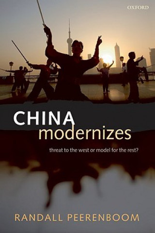 Livre China Modernizes Randall Peerenboom