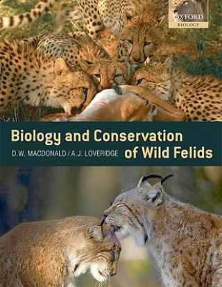 Kniha Biology and Conservation of Wild Felids David Macdonald