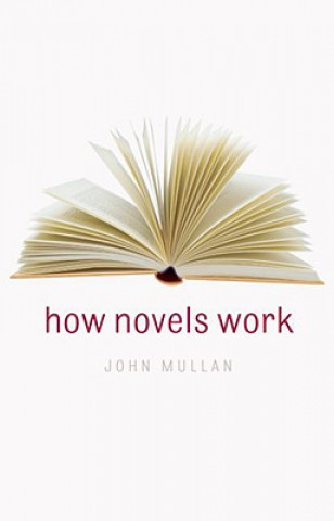 Kniha How Novels Work John Mullan