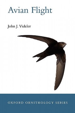 Kniha Avian Flight John J Videler