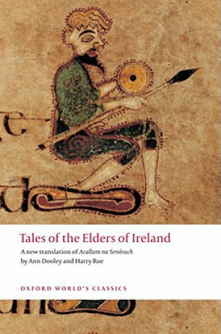 Kniha Tales of the Elders of Ireland Ann Dooley