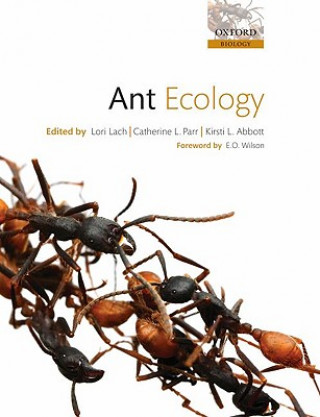 Kniha Ant Ecology Kirsti Lach