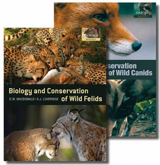 Kniha Biology and Conservation of Wild Carnivores David Macdonald