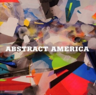 Könyv Abstract America Saatchi Gallery