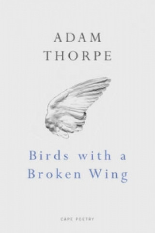 Kniha Birds With A Broken Wing Adam Thorpe