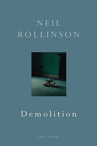 Knjiga Demolition Neil Rollinson