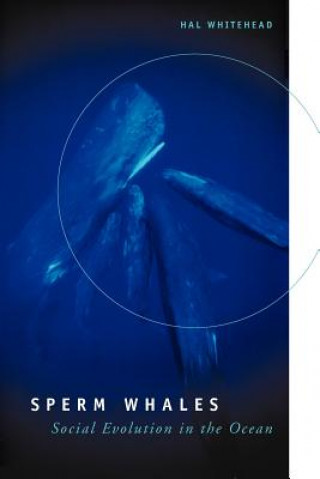 Könyv Sperm Whales Hal Whitehead